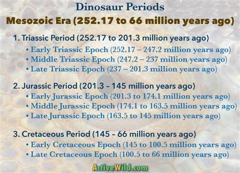 between 65 and 145 million years ago|The Mesozoic Era .
